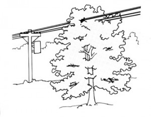 tree_in_line